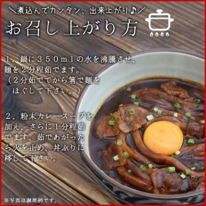 黒カレー 伊勢うどん お試し 4食入 メール便...の詳細画像2