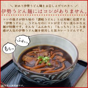 黒カレー 伊勢うどん お試し 4食入 メール便...の詳細画像4