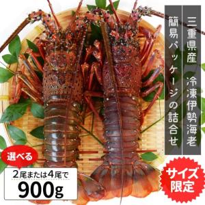 伊勢海老 三重県産 ９００ｇ サイズ限定特別価格 送料...