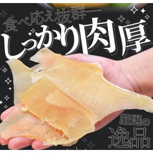 エイヒレ 味付け えいひれ 大容量 500g ...の詳細画像3