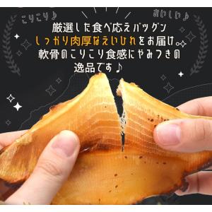 エイヒレ 味付け えいひれ 大容量 500g ...の詳細画像4