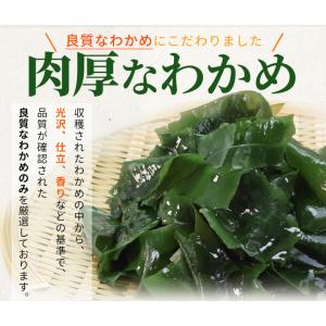 わかめ 産地厳選 乾燥 カットわかめ 200g...の詳細画像5