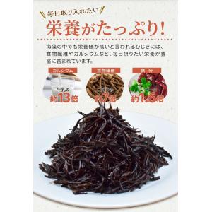 ひじき 100g 伊勢ひじき 九州ひじき 産地...の詳細画像5