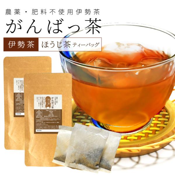 伊勢茶 ほうじ茶ティーバッグ２４包（１２包×２個） お茶 無農薬 日本茶 三重県産 農薬・肥料不使用...