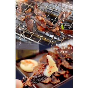 ほたるいか 寒風干し 180g 素干し メール...の詳細画像4