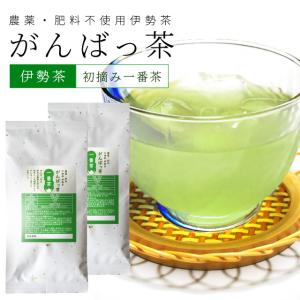 伊勢茶 初摘一番煎茶１４０ｇ（７０ｇ×２個） お茶 無農薬 日本茶 三重県産 農薬・肥料不使用栽培