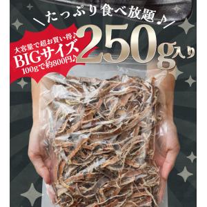 あたりめ スルメ おつまみ 素焼き いか 超大...の詳細画像4