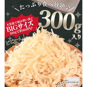 ソフト さきいか 300g おつまみ イカ 白...の詳細画像5