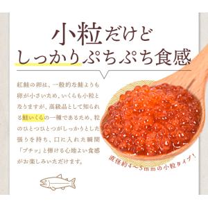 いくら 醤油漬け 500g(250g×2パック...の詳細画像4