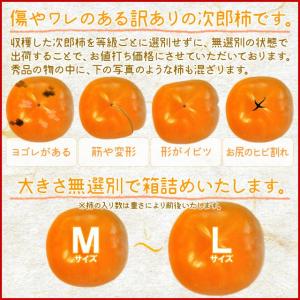 次郎柿 １ ８ｋｇ 送料無料 伊勢の特産品 新色追加して再販 冬季限定 種なし甘柿の最高級品が無選別の訳あり特価 前川次郎柿
