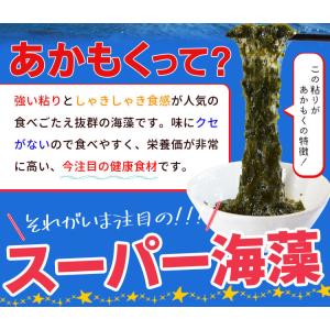あかもく 離島 乾燥 アカモク 80g 伊勢志...の詳細画像4