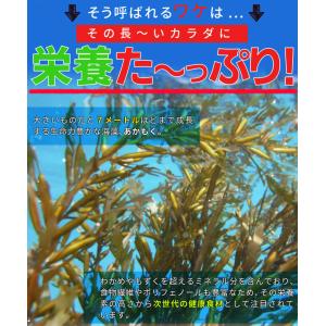 あかもく 離島 乾燥 アカモク 80g 伊勢志...の詳細画像5