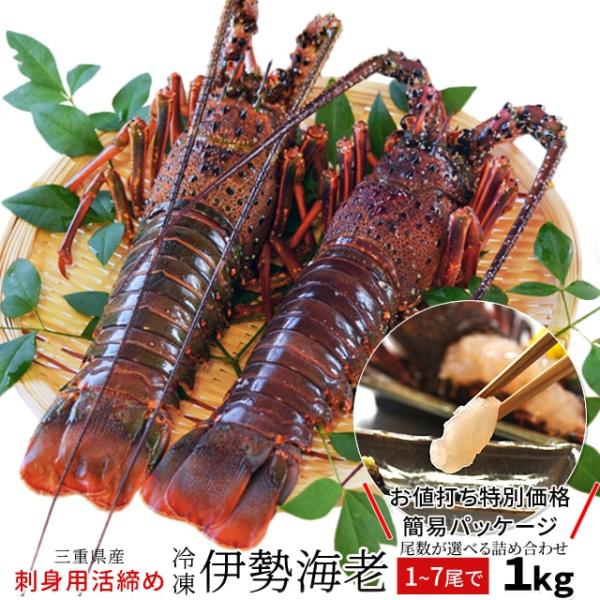 伊勢海老 三重県伊勢志摩産 １〜７尾で約１ｋｇ 送料無料 刺身用瞬間冷凍 伊勢エビ 訳あり イセエビ...
