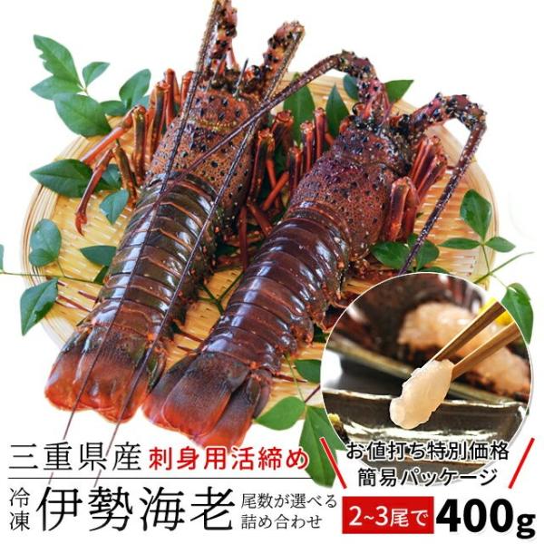 伊勢海老 三重県 伊勢志摩産 特別セール品 ２〜３尾で約４００ｇ 送料無料 刺身用 瞬間冷凍 伊勢エ...