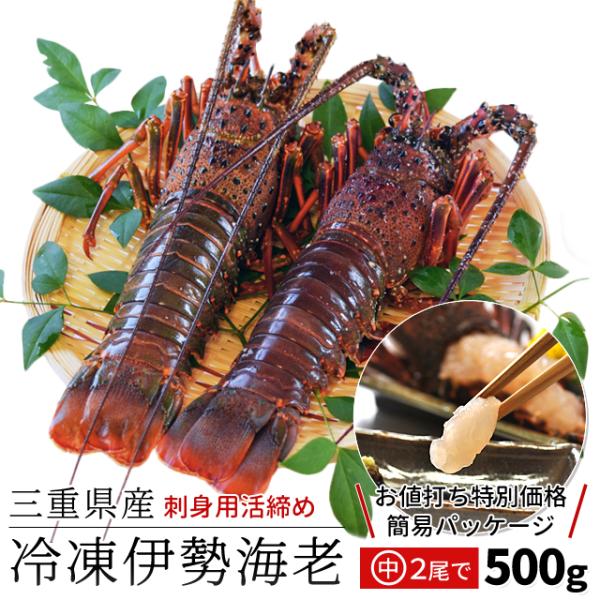 伊勢海老 三重県 伊勢志摩産 ２尾で約５００ｇ 送料無料 刺身用 瞬間冷凍 伊勢エビ 訳あり イセエ...