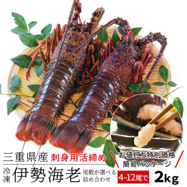 伊勢海老 三重県 伊勢志摩産 選べるサイズ ４〜１２尾で約２ｋｇ 送料無料 刺身用瞬間冷凍 伊勢エビ...