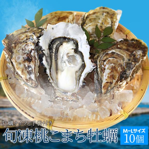 牡蠣 Ｍ〜Ｌサイズ １０個入 冷凍桃こまち牡蠣 産地厳選 加熱用（発泡箱入・牡蠣ナイフ・片手用軍手付...