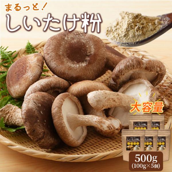 しいたけパウダー 粉末 ５００ｇ（１００ｇ×５個） 万能だし 粉 三重県産 農薬不使用栽培 椎茸１０...