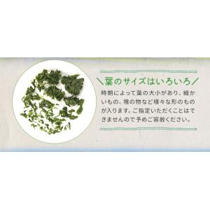 あおさのり 55g 産地厳選 三重県産 愛知県...の詳細画像3
