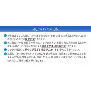 あおさのり 55g 産地厳選 三重県産 愛知県...の詳細画像5