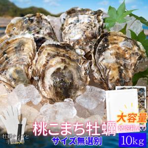 桃こまち 牡蠣 サイズ 無選別 １０ｋｇ（１３０個前後入り) 殻付き 牡蛎 発泡箱入り 加熱用 （牡蛎ナイフ・片手用軍手付き） 海鮮 バーベキュー