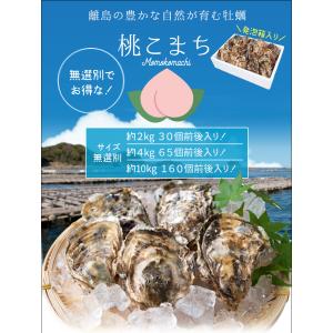 桃こまち 牡蠣 サイズ 無選別 4kg(65個...の詳細画像1
