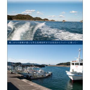 桃こまち 牡蠣 サイズ 無選別 4kg(65個...の詳細画像4
