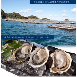 桃こまち 牡蠣 サイズ 無選別 2kg(30個...の詳細画像5