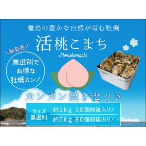 牡蠣 カンカン焼き セット 桃こまち サイズ ...の詳細画像1