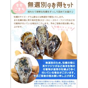 牡蠣 カンカン焼き セット 桃こまち サイズ ...の詳細画像3