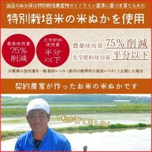 お米からこだわった ぬか床 1kg (ぬか床使...の詳細画像2