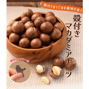 マカダミアナッツ 殻付き 500g 素焼き 専...の詳細画像1