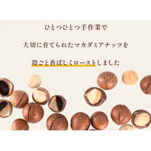 マカダミアナッツ 殻付き 500g 素焼き 専...の詳細画像2