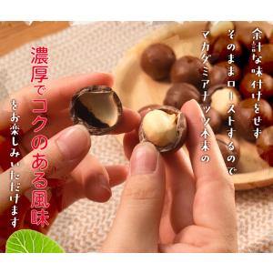 マカダミアナッツ 殻付き 500g 素焼き 専...の詳細画像4