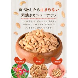 カシューナッツ 割れ 素焼き 有塩 500g ...の詳細画像2