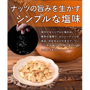 カシューナッツ 割れ 素焼き 有塩 500g ...の詳細画像4