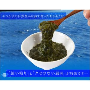 離島 あかもく お得な大容量チューブタイプ 1...の詳細画像3