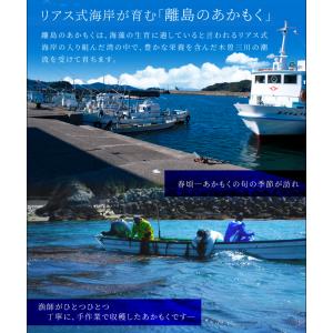 離島 あかもく お得な大容量チューブタイプ 1...の詳細画像4