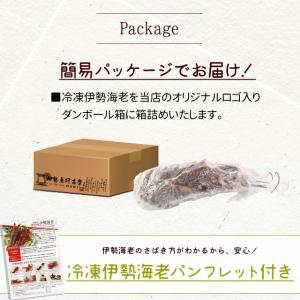 三重県産 伊勢海老 詰合せ ２尾 ３尾で約５００ｇ 送料無料 刺身用 瞬間冷凍 伊勢エビ 尾数選べます あすつく対応 Apaproduction Fr