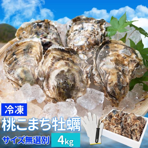 牡蠣 サイズ無選別 ４ｋｇ 冷凍牡蠣 送料無料 桃こまち 鳥羽産（発泡箱入・牡蠣ナイフ・片手用軍手付...