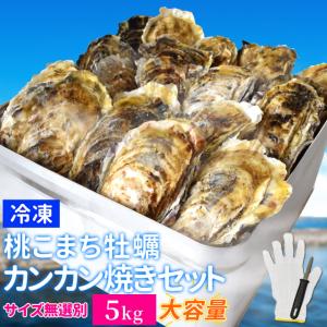 牡蠣 カンカン焼き セット サイズ無選別 ５ｋｇ（６０個前後入） 冷凍牡蠣 送料無料 桃こまち 鳥羽産 中缶入（牡蠣ナイフ・片手用軍手付き）一斗缶 旬凍桃こまち｜isesima