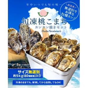 牡蠣 カンカン焼き セット サイズ無選別 5k...の詳細画像1
