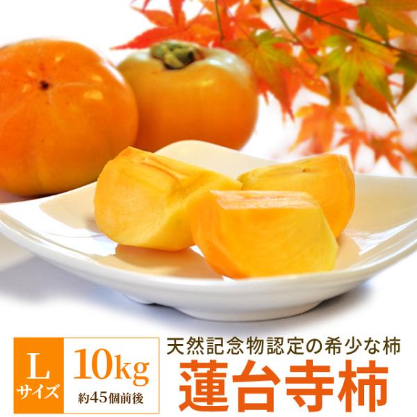 柿 伊勢蓮台寺柿 Ｌサイズ １０ｋｇ 送料無料 天然記念物認定 完熟柿