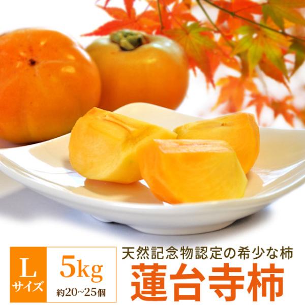 柿 伊勢蓮台寺柿 Ｌサイズ ５ｋｇ 送料無料 天然記念物認定 完熟柿