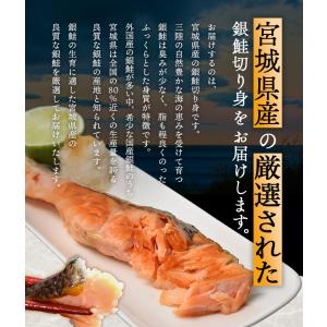 鮭 切り身 20切入り 約2kg(約100g×...の詳細画像2