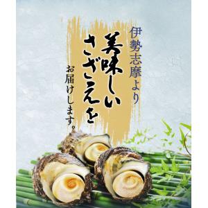 さざえ 中サイズ 20個 海鮮 バーベキュー ...の詳細画像3