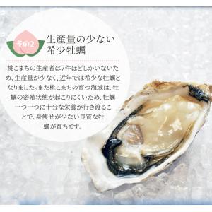 桃こまち 牡蠣カンカン焼き 20個 ミニ缶入 ...の詳細画像5