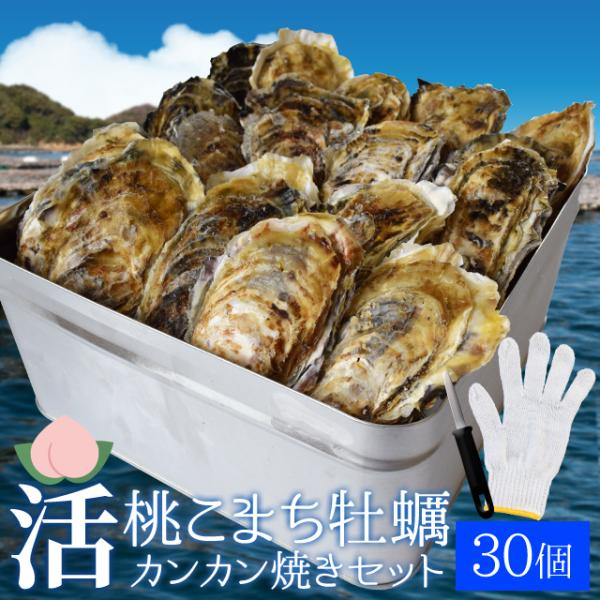 桃こまち 牡蠣 カンカン焼きセット ３０個 ミニ缶入 （牡蠣ナイフ・片手用軍手付き）三重県 鳥羽の離...