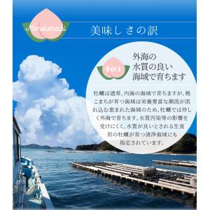 桃こまち 牡蠣 カンカン焼きセット 30個 ミ...の詳細画像4