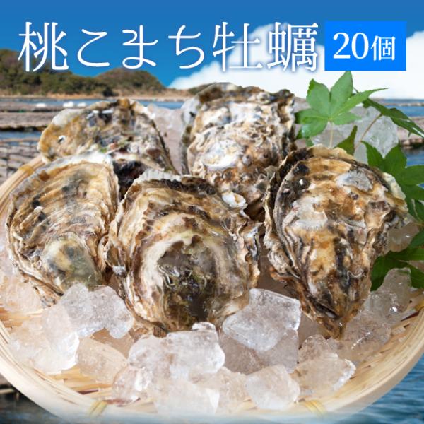 牡蠣 桃こまち ２０個 殻付き牡蠣 （牡蠣ナイフ・片手用軍手付き）発泡箱入 三重県鳥羽産（加熱用）